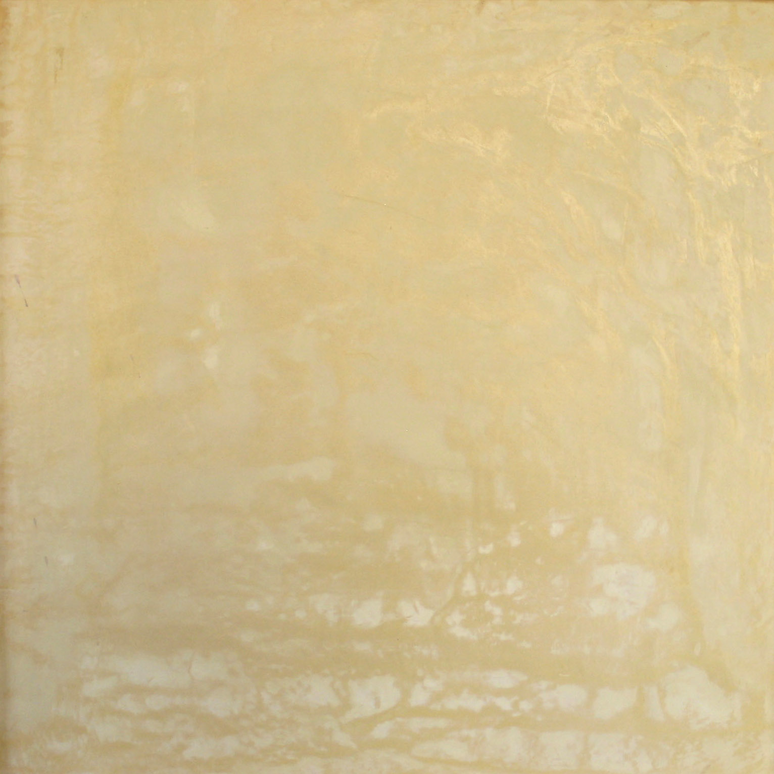 custard polished